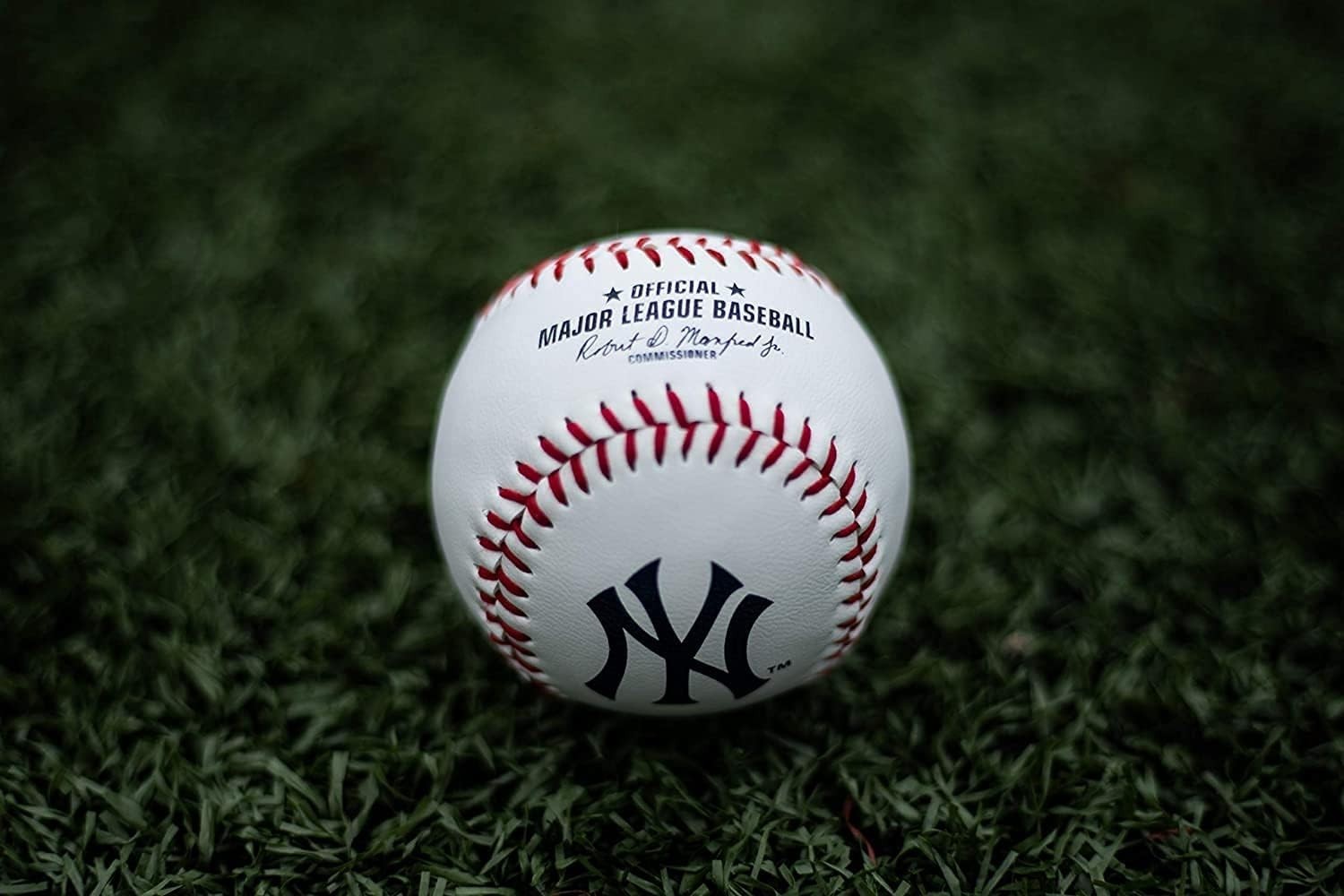 Authentic New York Yankees Baseball – 2026 MLB Official Size Leather Ball