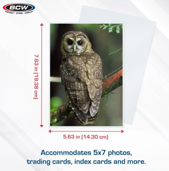 BCW (Brand New) 100ct – 5 X 7 Photo Sleeves – 2 Mil – For Photos/Prints