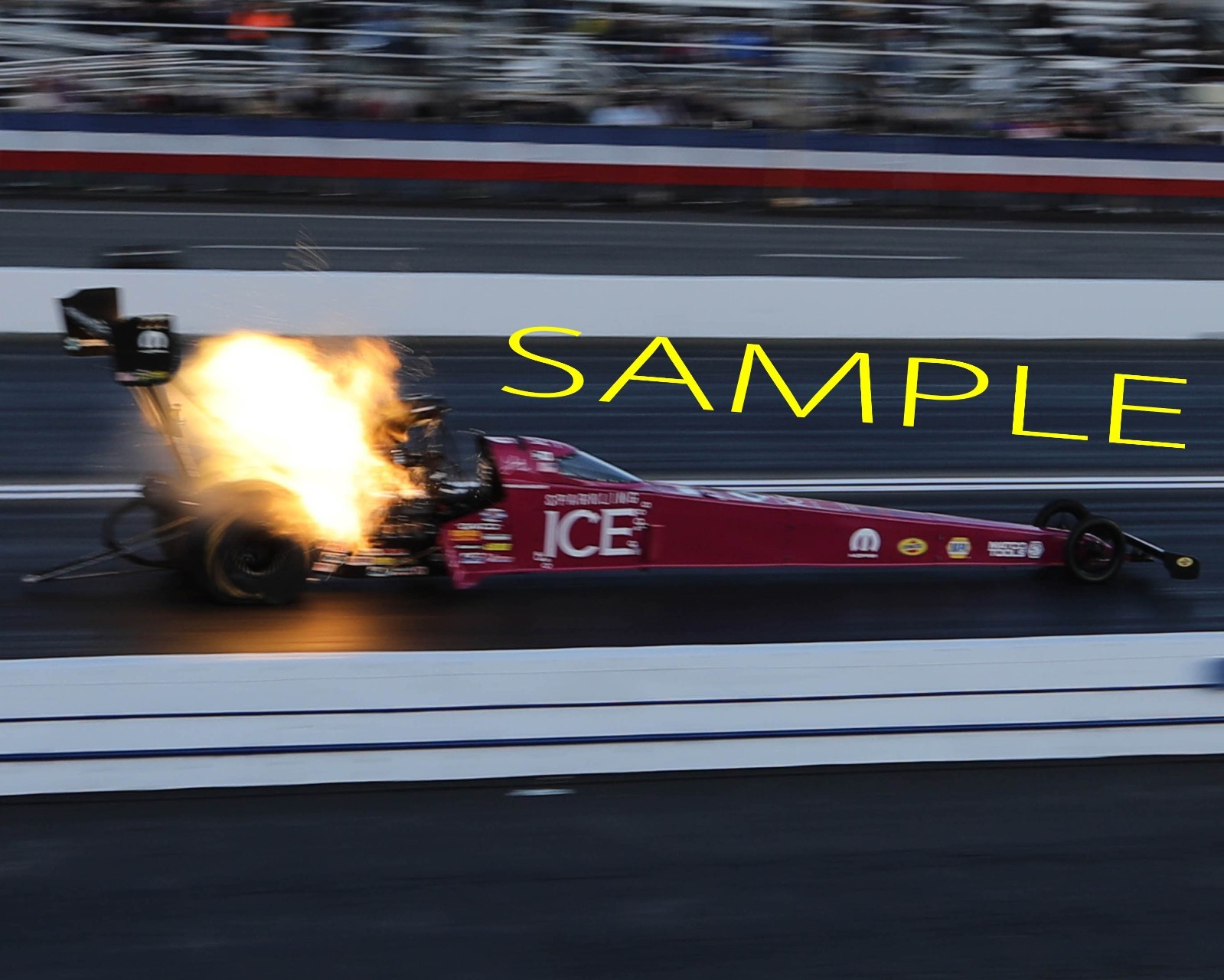 LEAH PRITCHETT 2019 SPARKLING ICE TOP FUEL CAR 8X10 GLOSSY PHOTO #8H7