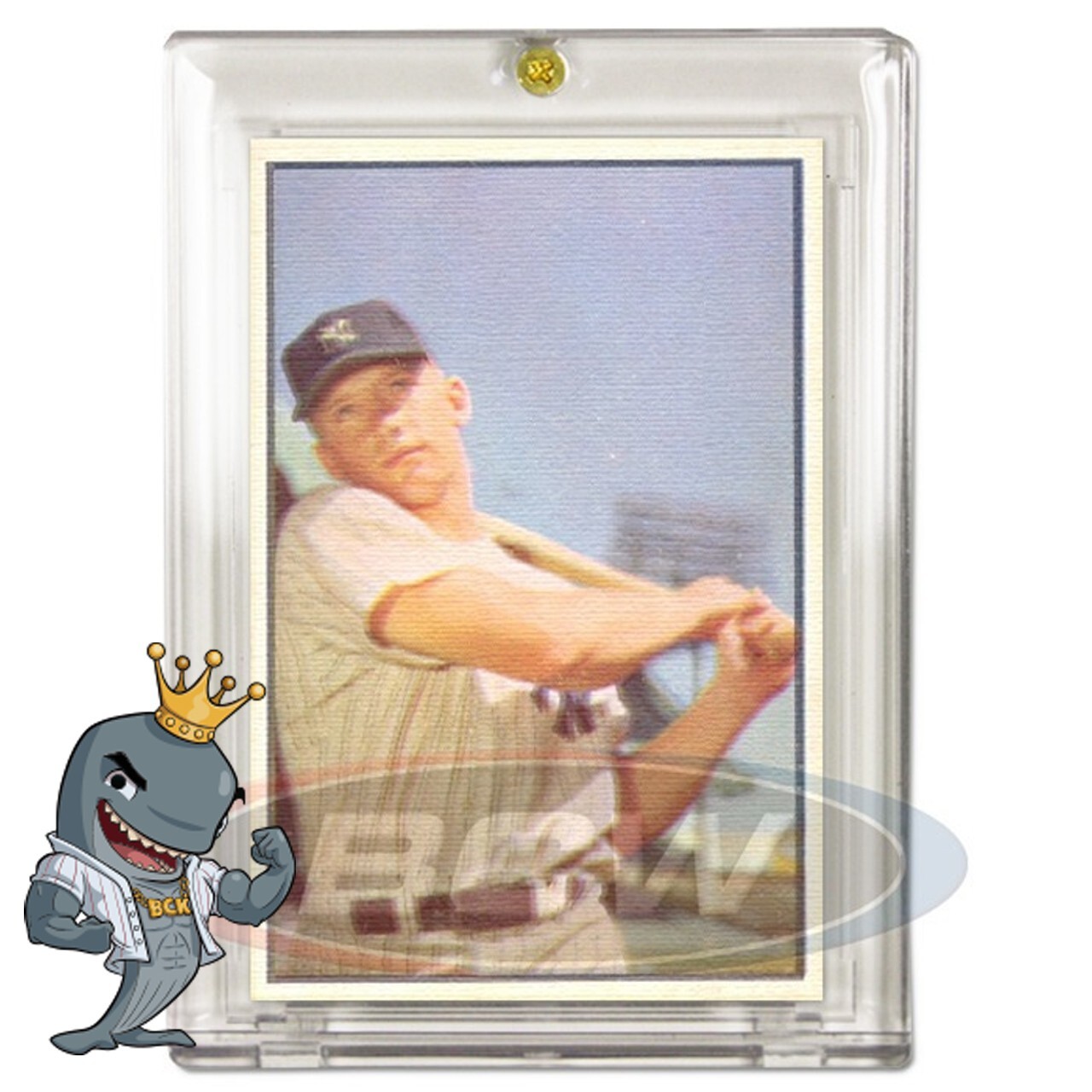 Pro-Mold 1-Screw Screwdown 1953-1955 Bowman Card Holder FREE SHIP