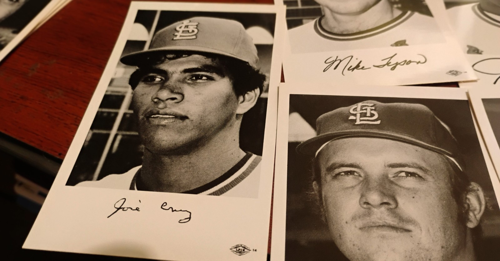 Vintage 16 3.5X5.5 Black & White 1974 St. Louis Cardinal Player Photo Cards