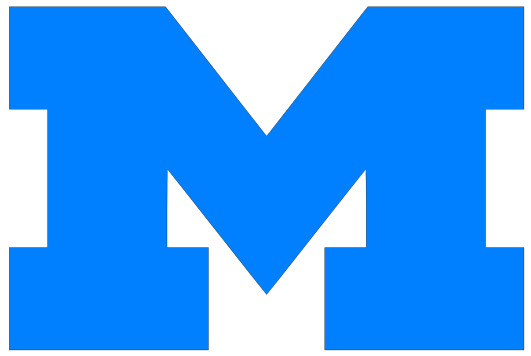 UofM Michigan Block M Vinyl Decal Sticker – You choose color and size