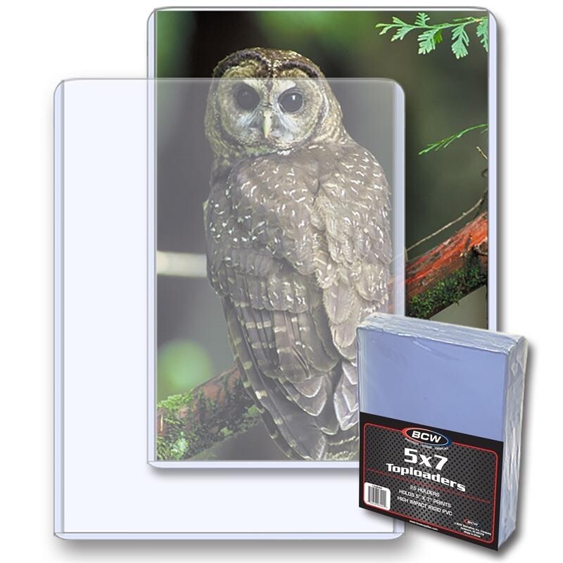 1 Pack of (25) BCW 5 x 7 Toploaders Holders Photo Postcard Rigid Top Loader