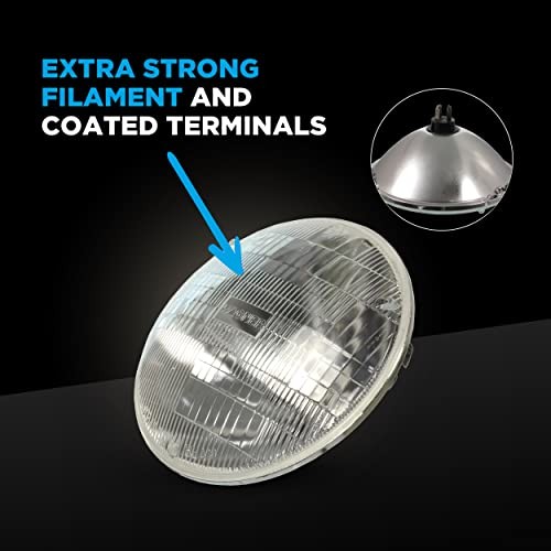 BriteLite H6024BL Headlight Box of 1 1 Count (Pack of 1)