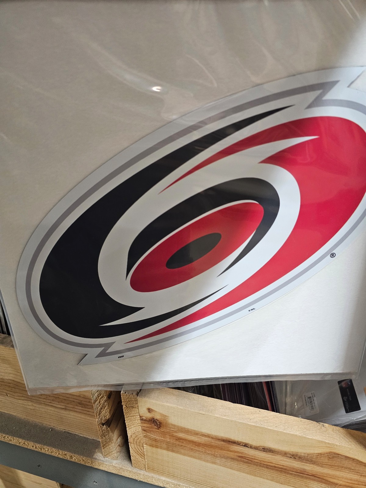 CAROLINA HURRICANES NHL HOCKEY MAGNET CAR OFFICE 12 Inch NEW