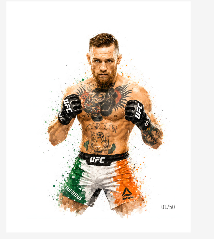 Conor McGregor 11×14 Premium Aluminum Metal Print 1/50 + COA Limited Edition