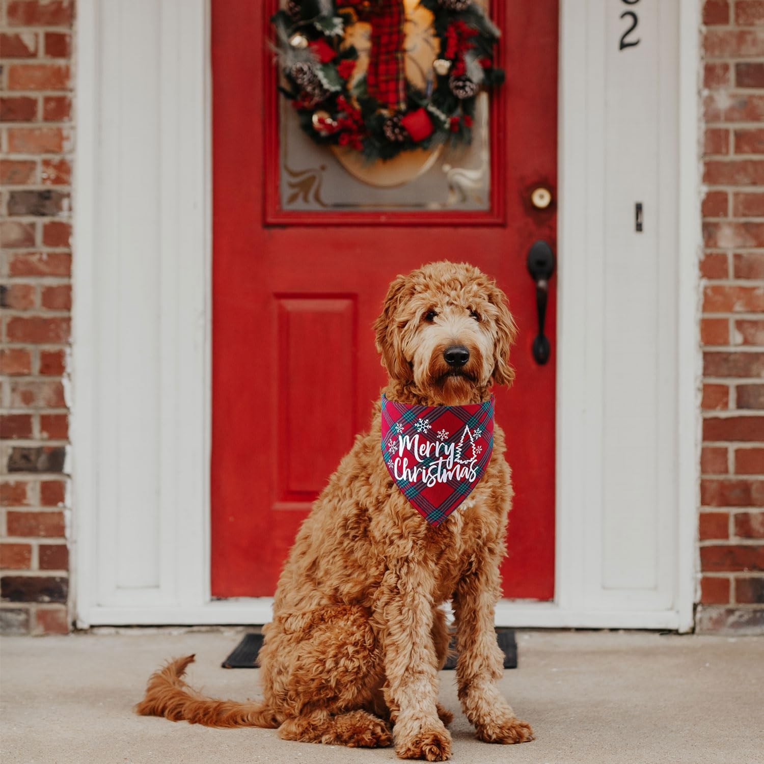 Christmas Dog Bandana 2 Pack, Classic Plaid Scarf Large, Merry