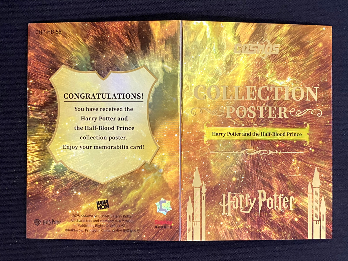 Harry Potter Collection Poster 2025 Kakawow Cosmos Ron Ginny Quiddich CHP-HB-55