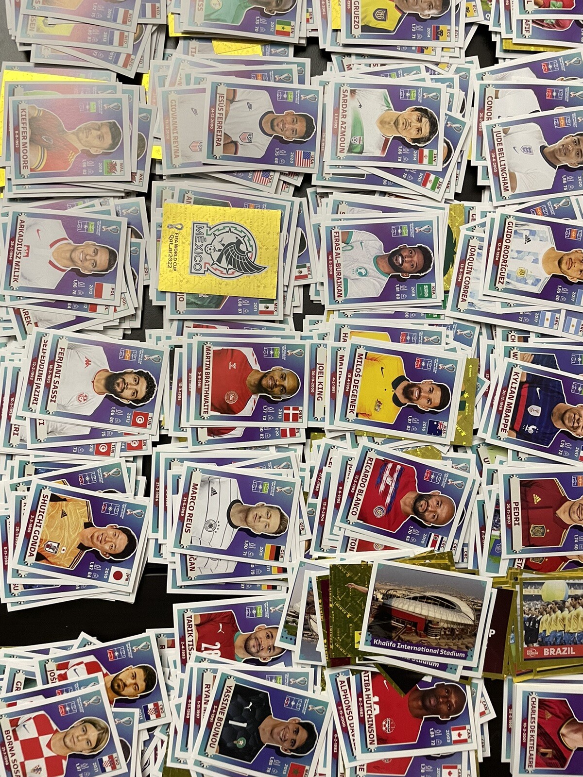 Panini World Cup Qatar 2022 Stickers USA Version POL – CAN Pick! Complete Set!