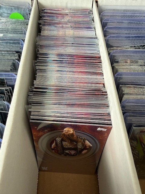 2025 Topps UNIVERSE WWE Wrestling Cards #1-200 You Pick/Choose! READ*
