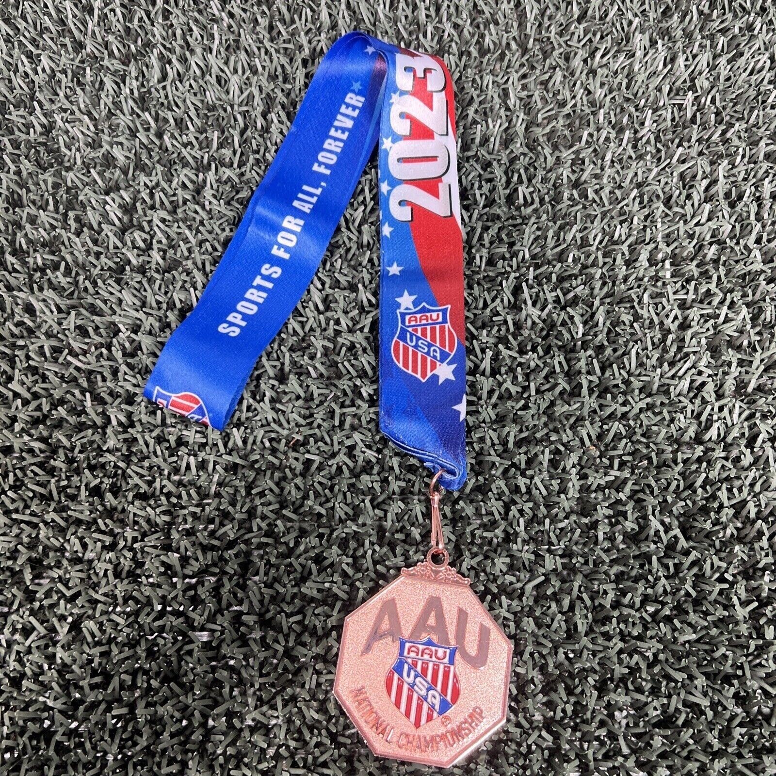 2023 AAU USA National Championship Medal Award Heavy (#R9)