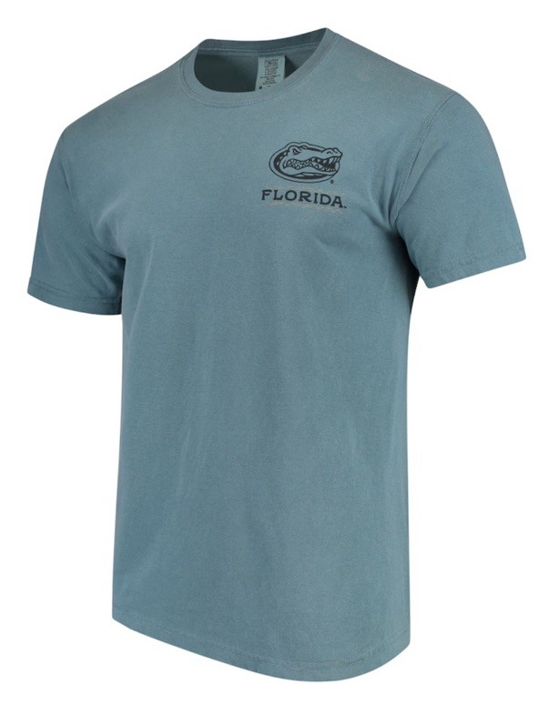 NWT Florida Gators State Scenery Comfort Colors T-Shirt – Blue Medium