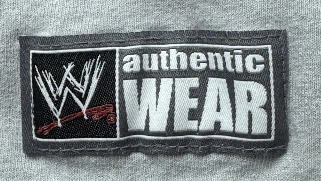WWE Daniel Bryan Yes Movement Mens Gray Short Sleeve T-Shirt Size Large