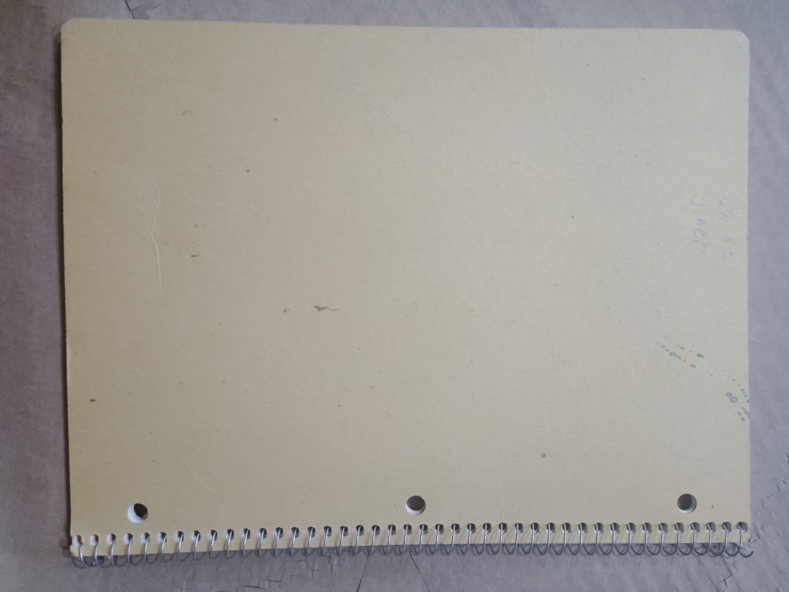 TranSports WWF Jake Roberts Notebook 10.5x8in Yellow Pink Green Wrestling