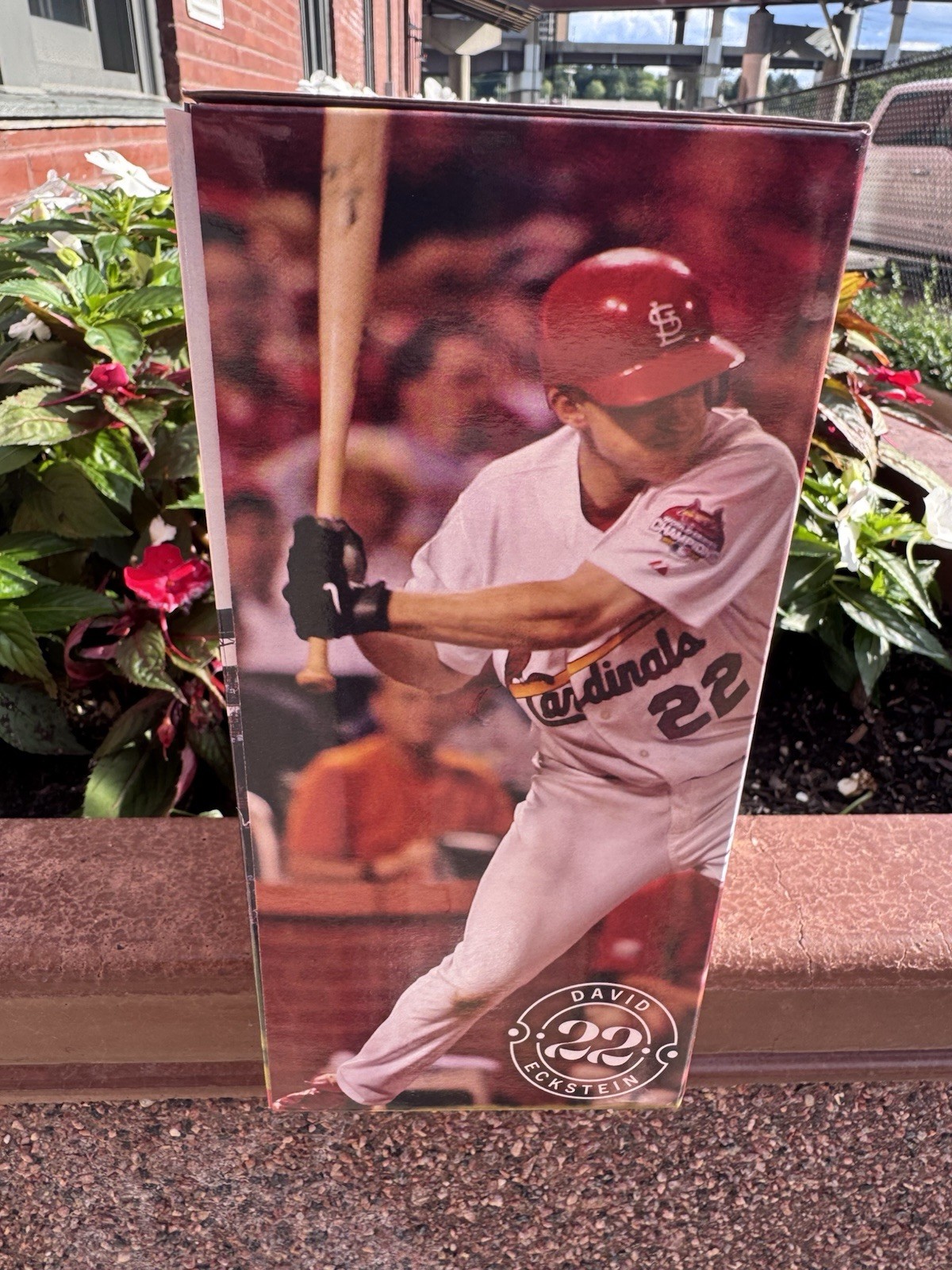 ST. LOUIS CARDINALS DAVID ECKSTEIN 2006 W.S. MVP BOBBLEHEAD 7-11-26 SGA PRESALE