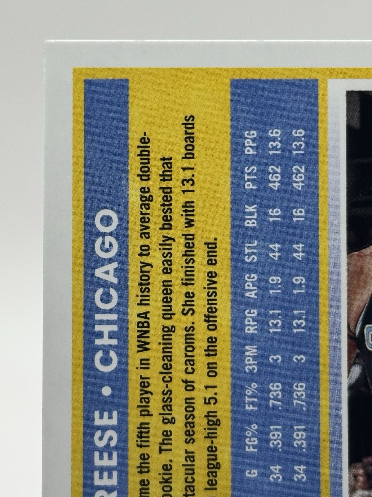 💙 2025 WNBA Panini Donruss – Angel Reese #71 Chicago Sky USA FIBA