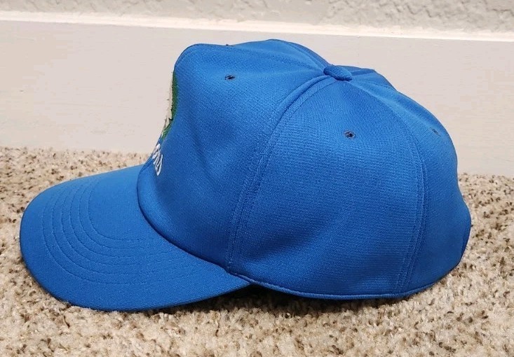 VTG Saitama Seibu Lions Japan Baseball Cross Cap Adjustable Hat LL NPB Blue