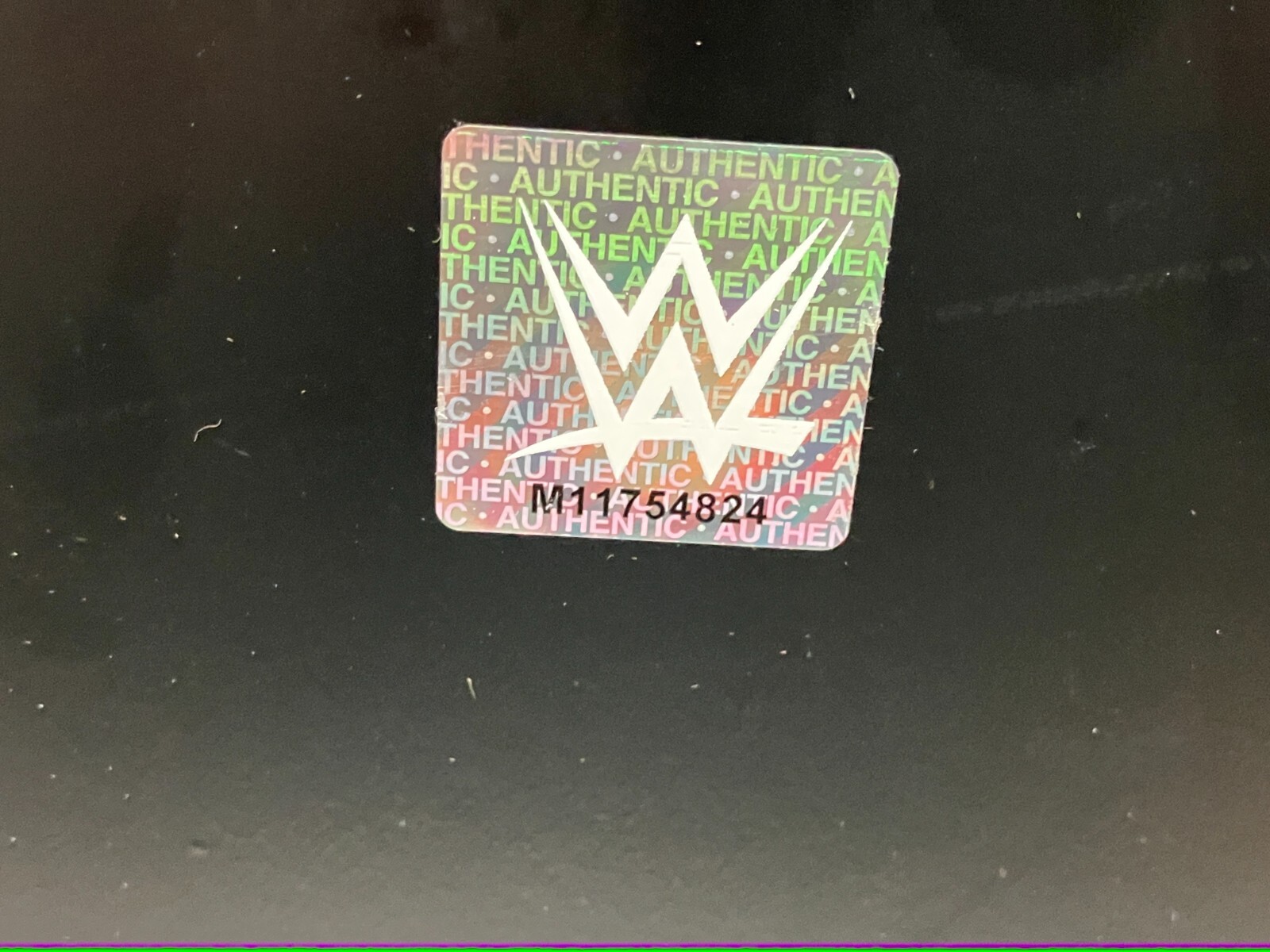 Brock Lesnar Money in the Bank WWE Authentic 10.5×13 Sublimated Plaque (NEW)