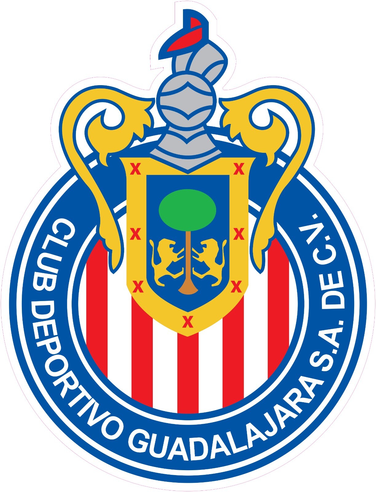 NOT A PATCH Chivas de Guadalajara Futbol Soccer HTV Heat Transfer Vinyl Iron On