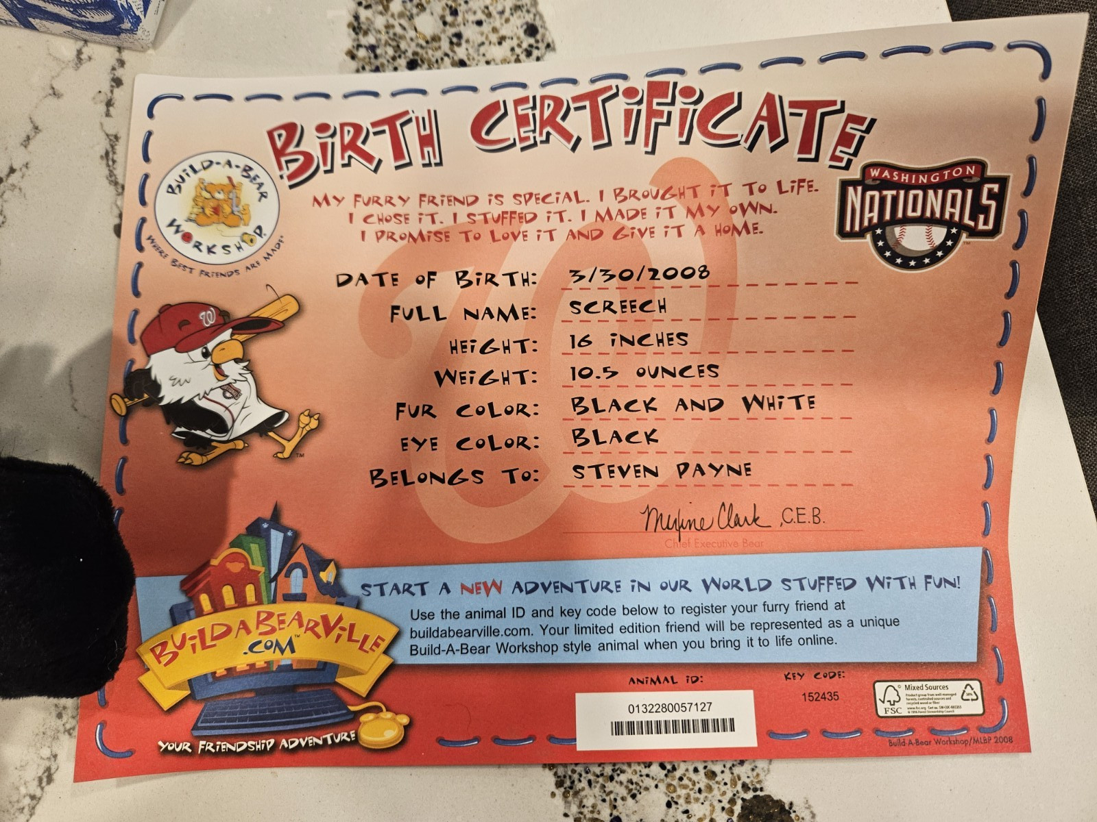 March 2008 MLB Washington Nationals Build A Bear Workshop 16″ Screech VERY RARE