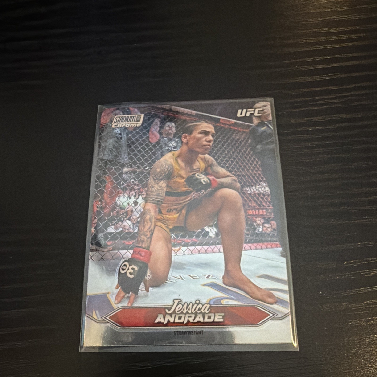 Topps 2025 UFC Stadium Club Chrome Card Lot . 11 cards total