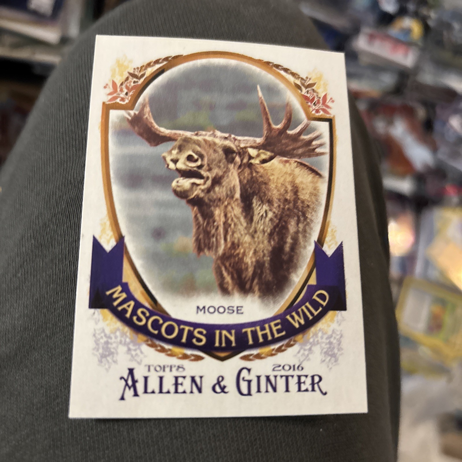 2016 TOPPS ALLEN & GINTER MASCOTS IN THE WILD MIW-7 MARINER MOOSE BASEBALL CARD