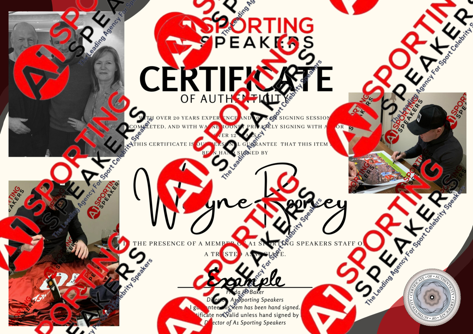 Fantastic WAYNE ROONEY Signed Career Stats Picture Bargain £39.99 With COA