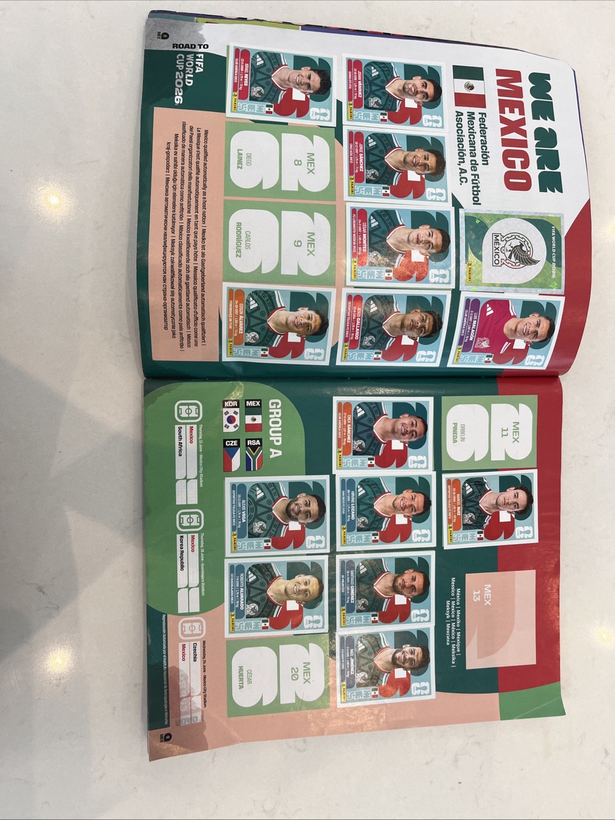 OFFICIAL Panini Sticker World Cup Album 75% Done 210 dollar value some rips