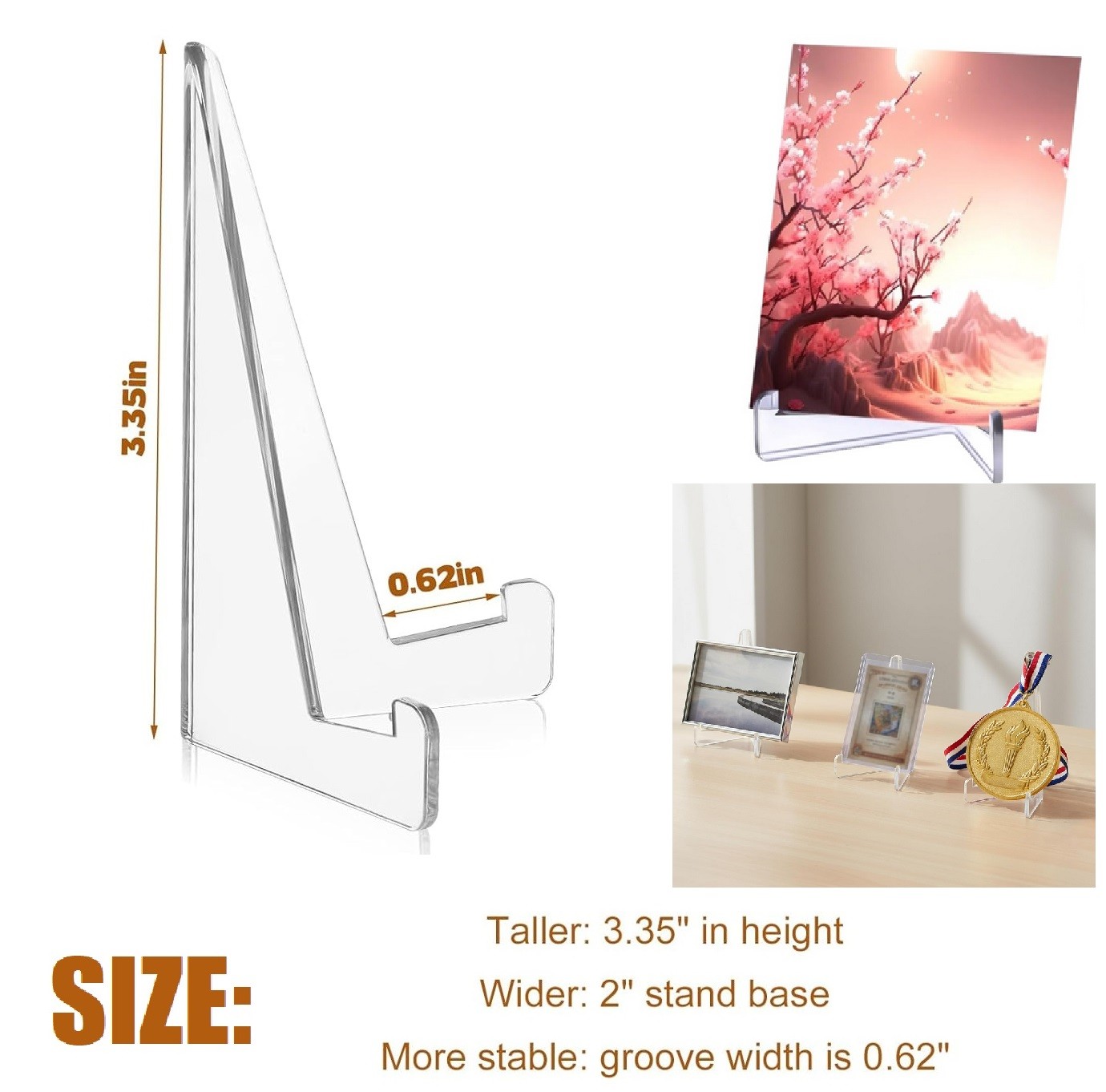 20× Large Size Trading Card Stands Most Durable Display Coins Cards Holder USA