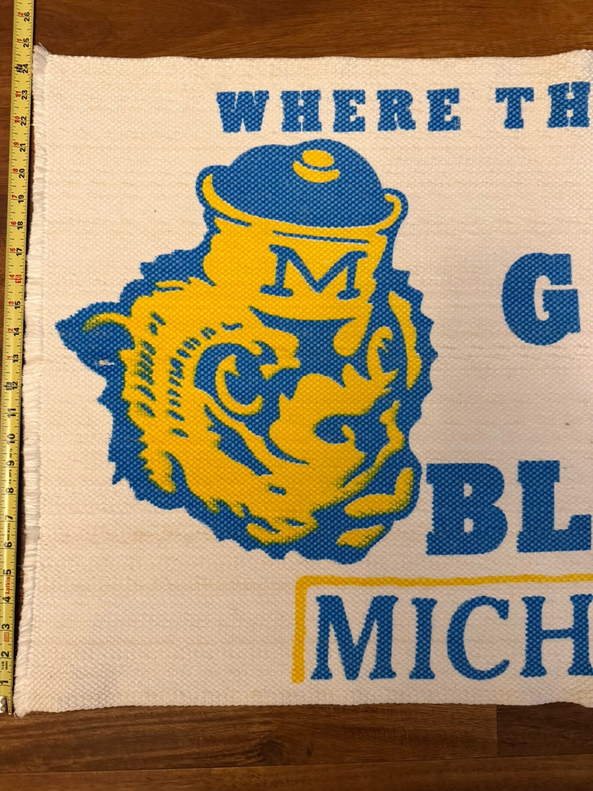Vintage RARE Michigan Wolverines GO BLUE Tapestry Rug Banner Washable 42”x24”