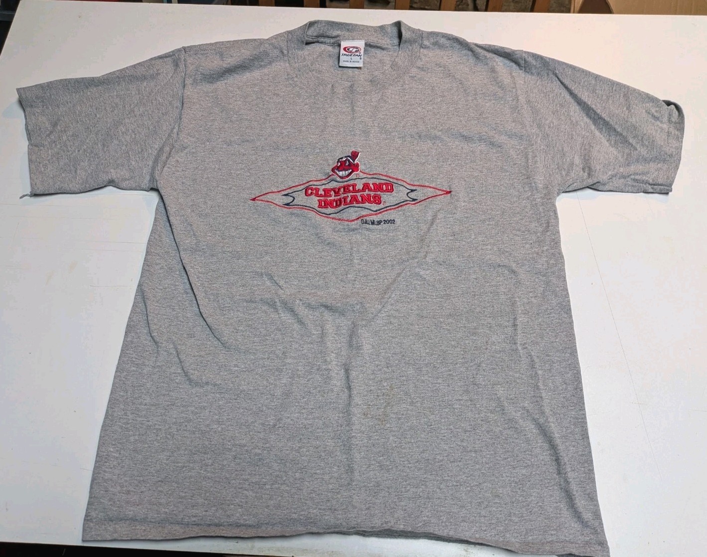 Cleveland Indians Vintage 2002 Embroidered Grey T-Shirt Size Large Chief Wahoo