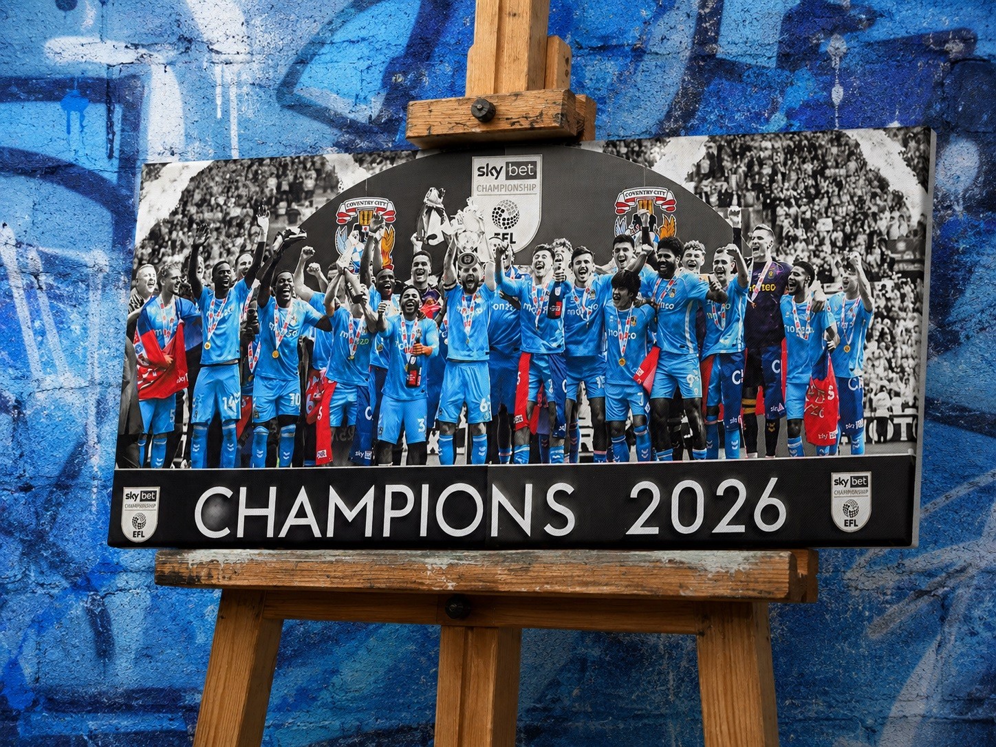 Coventry City ‘Champions’ 22×10 Inch Framed Canvas Print *NEW*