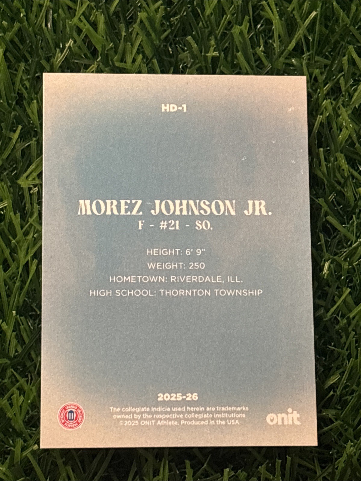 Morez Johnson Jr. 2025-26 ONIT Michigan Basketball #HD-1 Hoop Dreams