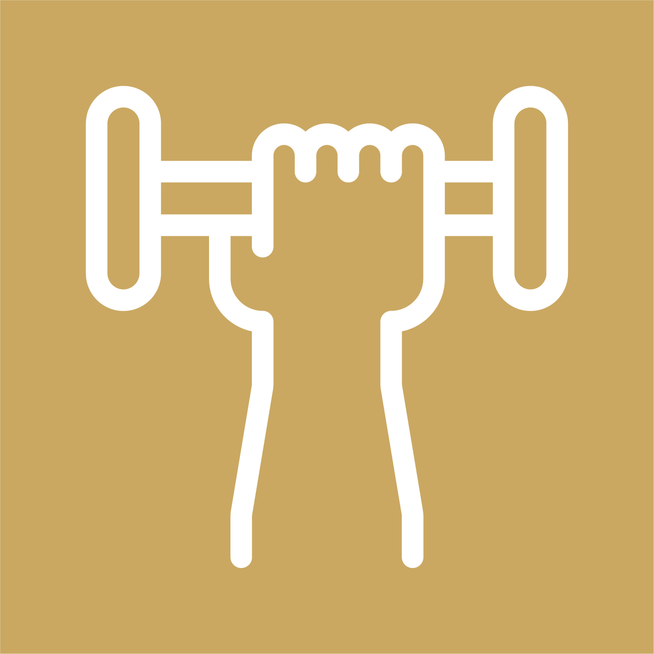 icon-program-01