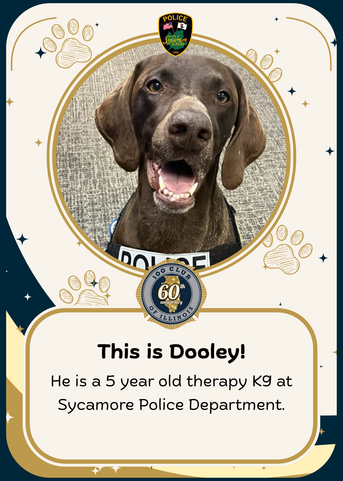 Dooley